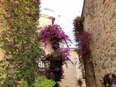 183 D25 BORMES LES MIMOSAS 3_000012